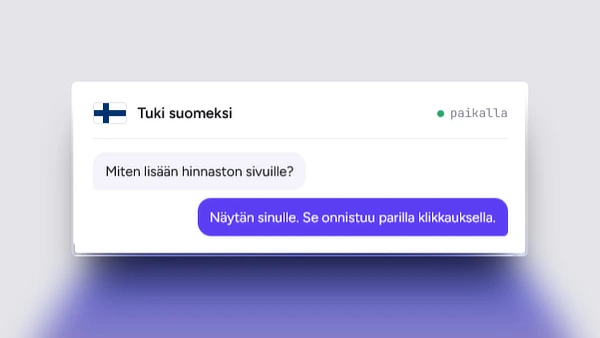 Kuvassa on suomenlippu kuvastamassa suomenkielistä tukea