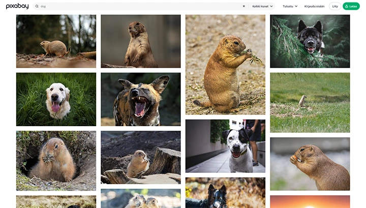 Pixabay-kuvien haku hallintapaneelista
